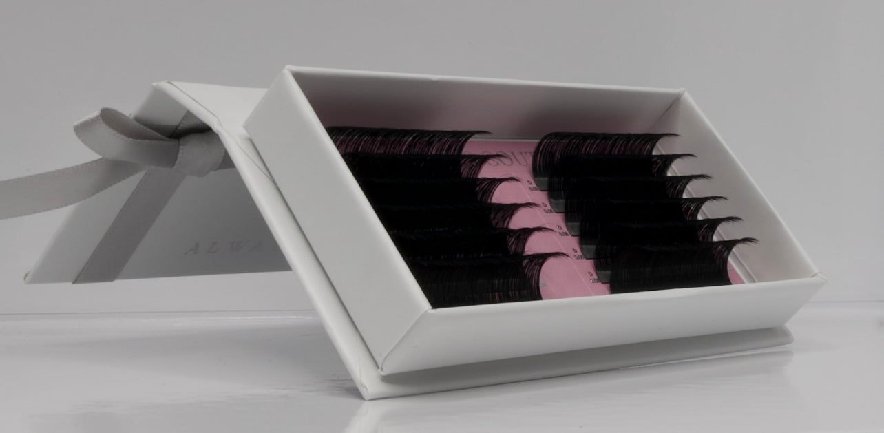 Volume Single Length Lash Trays 12 rows